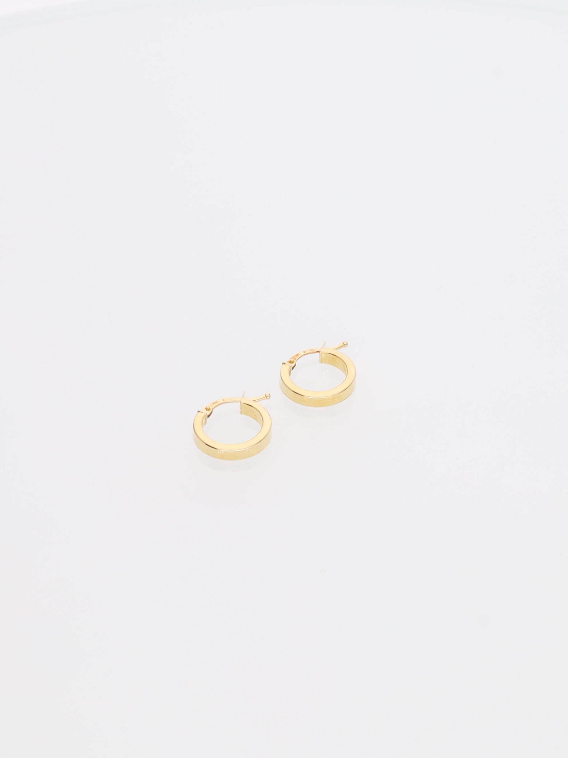Orecchini a Cerchietto in Oro Giallo 18kt