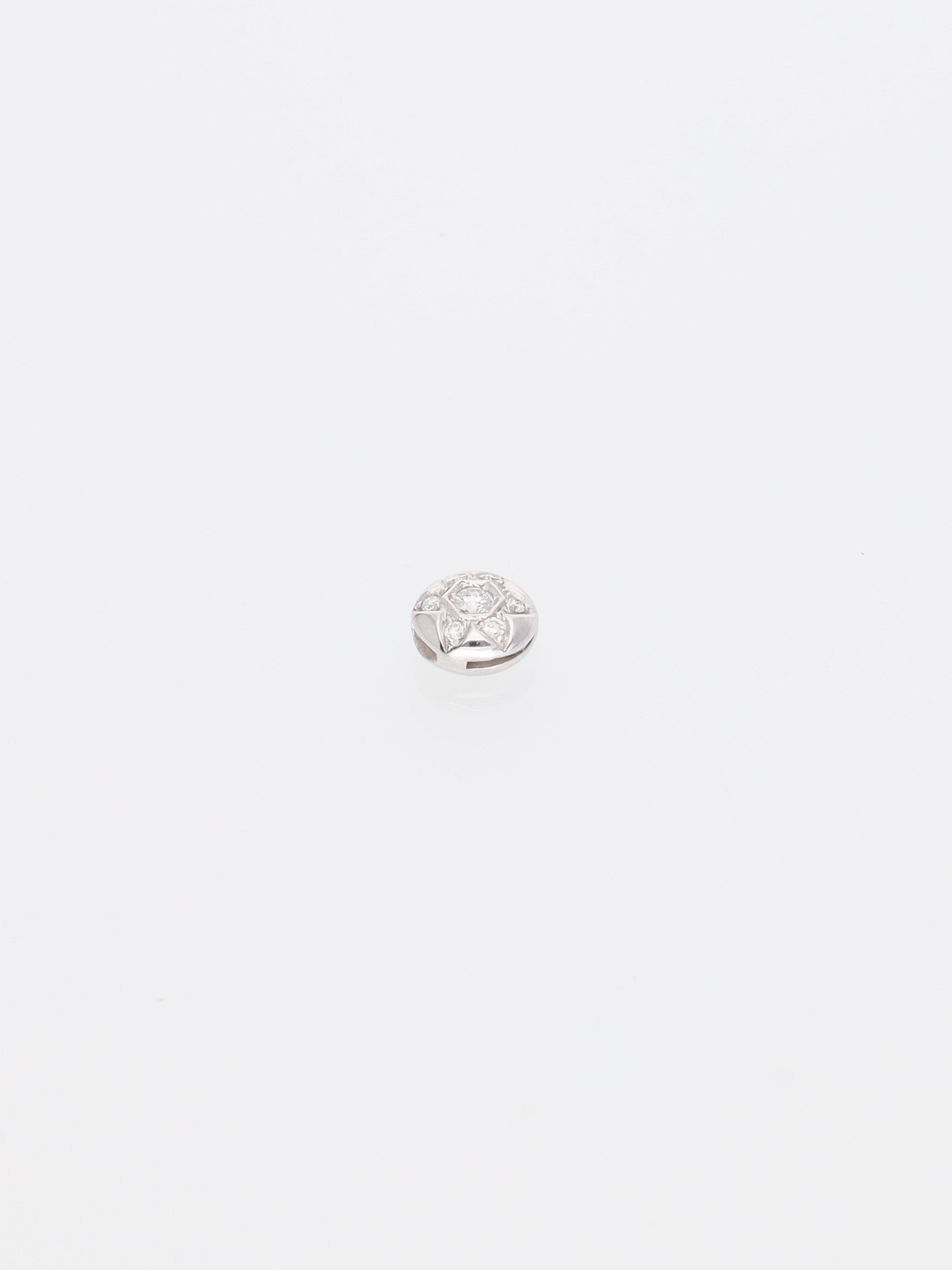 Ciondolo in oro bianco 18kt tondo con margherita di Diamanti